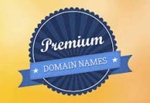 Premium Domains for Branding